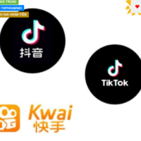 tools tải hàng loạt fb,inta,dou, kua,ixigua..